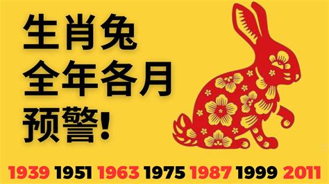 2023屬狗幸運物|2023兔年「十二生肖全年運勢」出爐！屬狗收入暴增、屬羊桃花。